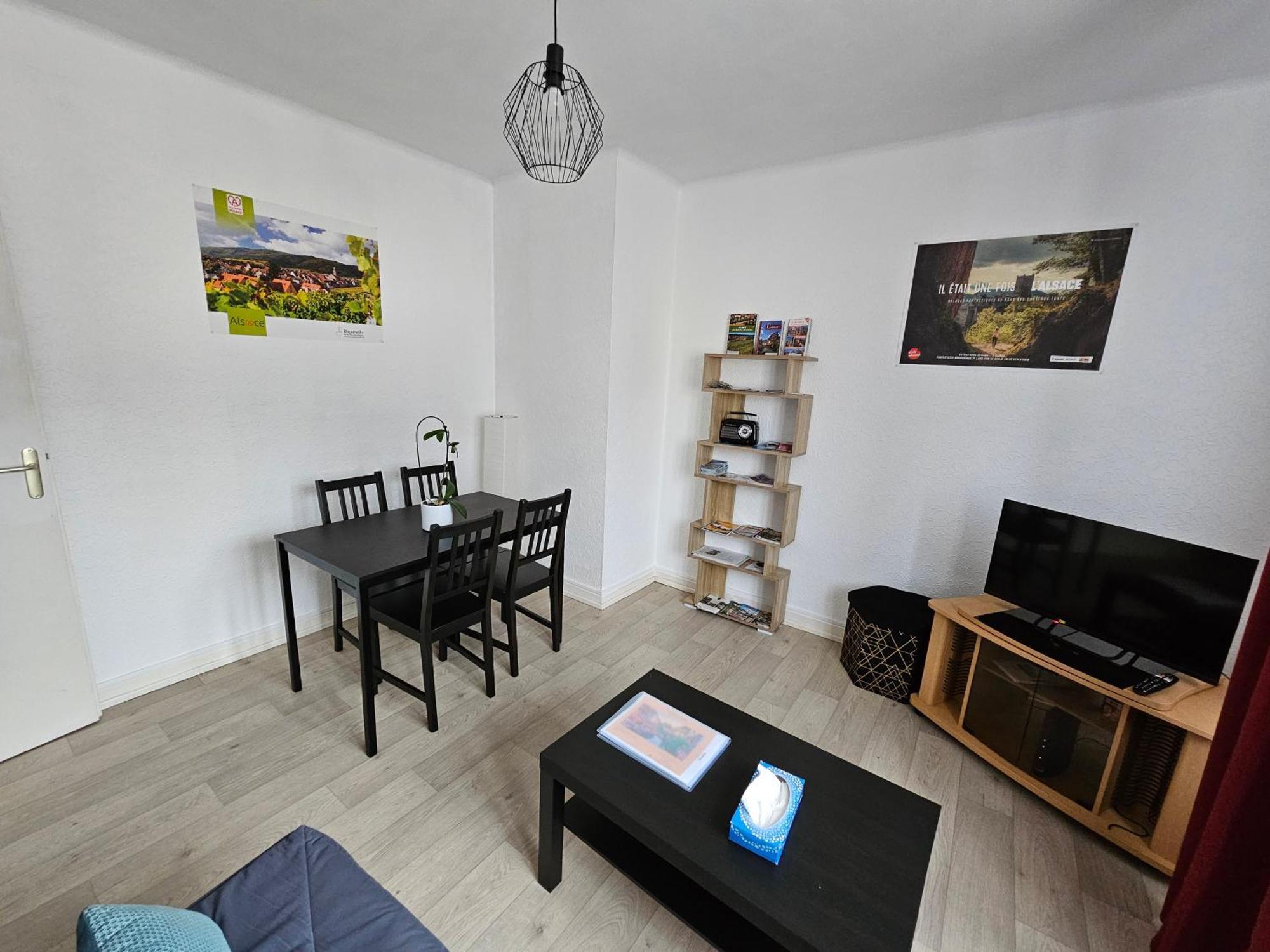 Le Nid Des Cigognes A Colmar Centre, Proche Gare, Marches De Noel Apartment Екстериор снимка
