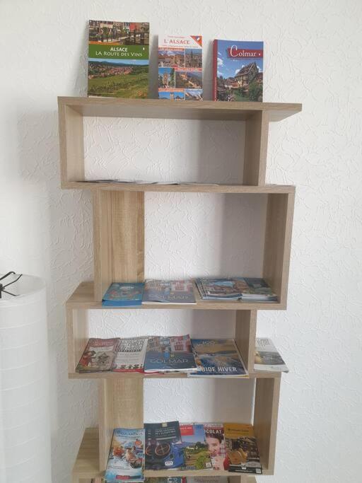 Le Nid Des Cigognes A Colmar Centre, Proche Gare, Marches De Noel Apartment Екстериор снимка