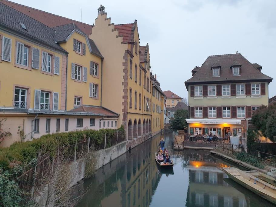 Le Nid Des Cigognes A Colmar Centre, Proche Gare, Marches De Noel Apartment Екстериор снимка