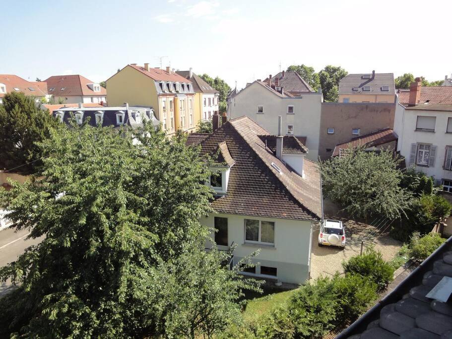 Le Nid Des Cigognes A Colmar Centre, Proche Gare, Marches De Noel Apartment Екстериор снимка